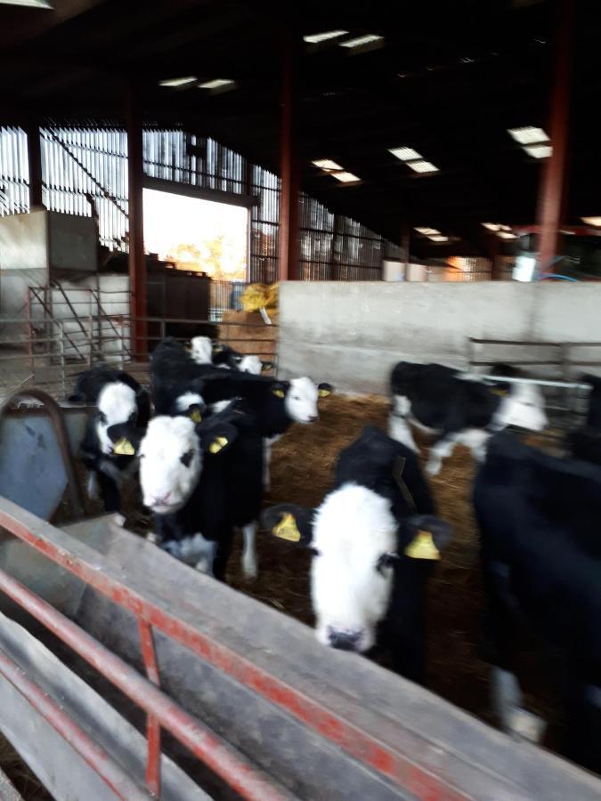 Church Farm ستارتفورد أبون آفون المظهر الخارجي الصورة