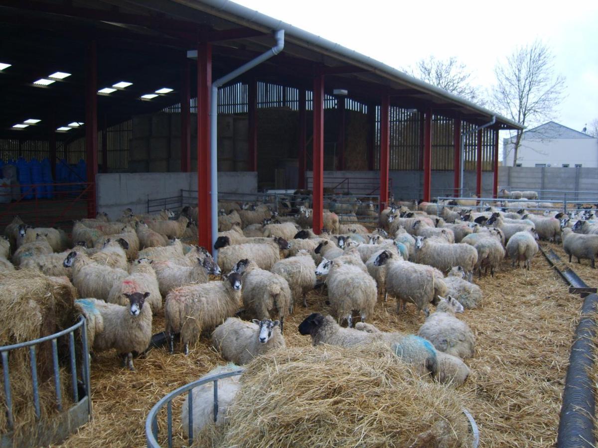 Church Farm ستارتفورد أبون آفون المظهر الخارجي الصورة